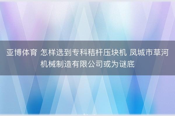 亚博体育 怎样选到专科秸杆压块机 凤城市草河机械制造有限公司或为谜底