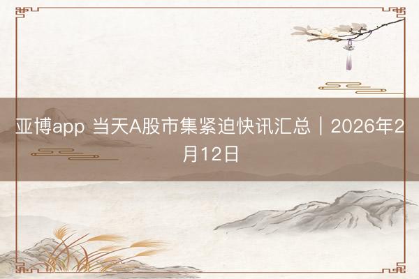 亚博app 当天A股市集紧迫快讯汇总｜2026年2月12日