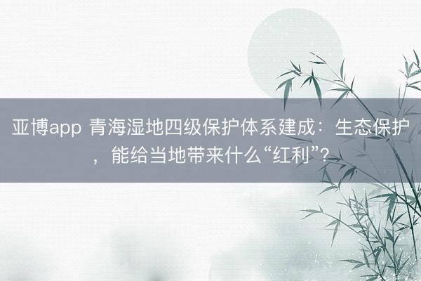亚博app 青海湿地四级保护体系建成：生态保护，能给当地带来什么“红利”？