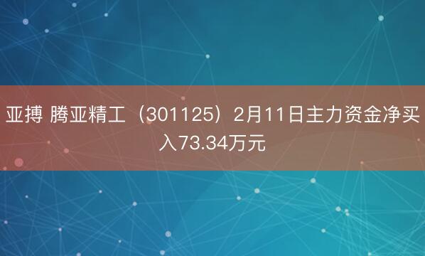 亚搏 腾亚精工（301125）2月11日主力资金净买入73.34万元