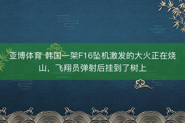 亚博体育 韩国一架F16坠机激发的大火正在烧山，飞翔员弹射后挂到了树上