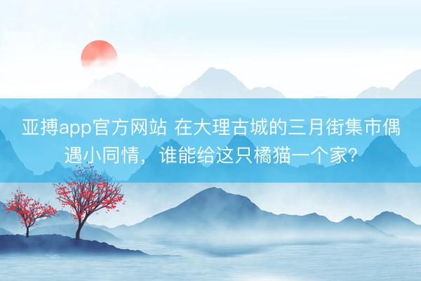 亚搏app官方网站 在大理古城的三月街集市偶遇小同情，谁能给这只橘猫一个家？