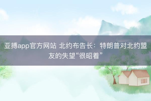 亚搏app官方网站 北约布告长：特朗普对北约盟友的失望“很昭着”