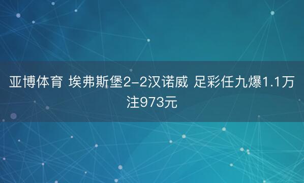 亚博体育 埃弗斯堡2-2汉诺威 足彩任九爆1.1万注973元