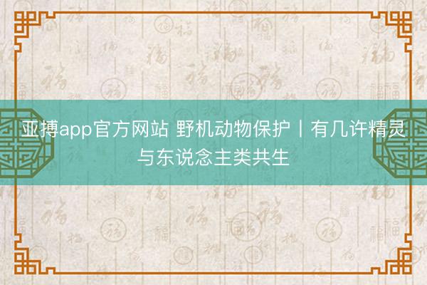亚搏app官方网站 野机动物保护丨有几许精灵与东说念主类共生