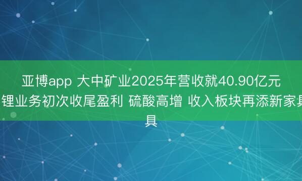 亚博app 大中矿业2025年营收就40.90亿元， 锂业务初次收尾盈利 硫酸高增 收入板块再添新家具