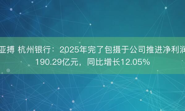 亚搏 杭州银行：2025年完了包摄于公司推进净利润190.29亿元，同比增长12.05%