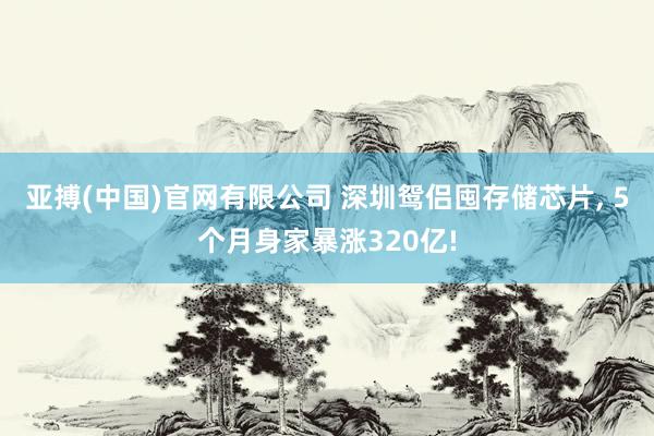 亚搏(中国)官网有限公司 深圳鸳侣囤存储芯片， 5个月身家暴涨320亿!