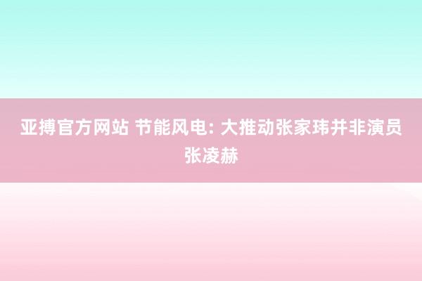 亚搏官方网站 节能风电: 大推动张家玮并非演员张凌赫