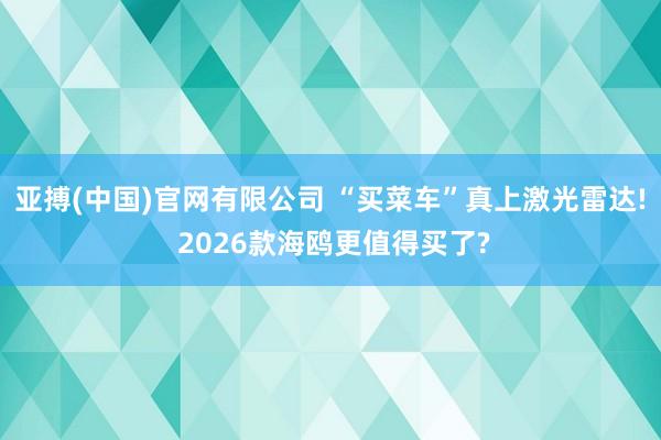 亚搏(中国)官网有限公司 “买菜车”真上激光雷达! 2026款海鸥更值得买了?