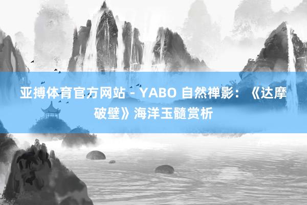 亚搏体育官方网站 - YABO 自然禅影：《达摩破壁》海洋玉髓赏析