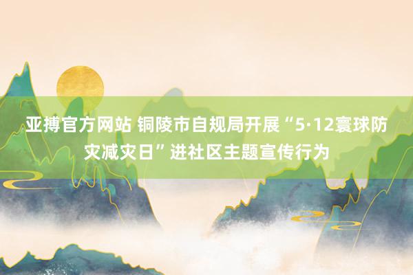 亚搏官方网站 铜陵市自规局开展“5·12寰球防灾减灾日”进社区主题宣传行为