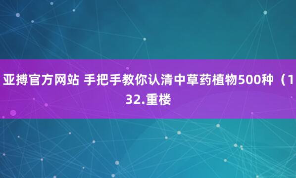 亚搏官方网站 手把手教你认清中草药植物500种（132.重楼