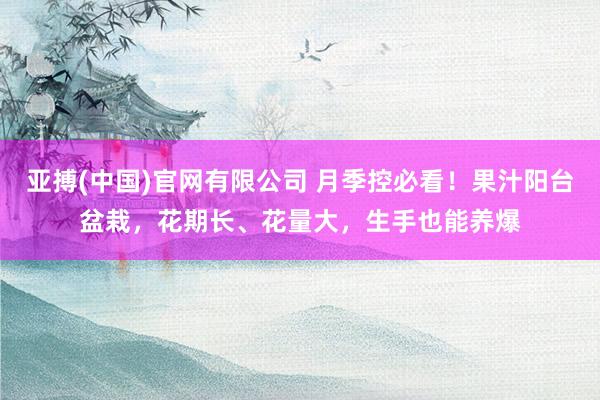 亚搏(中国)官网有限公司 月季控必看！果汁阳台盆栽，花期长、花量大，生手也能养爆