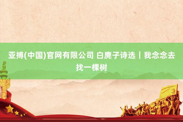 亚搏(中国)官网有限公司 白麂子诗选｜我念念去找一棵树