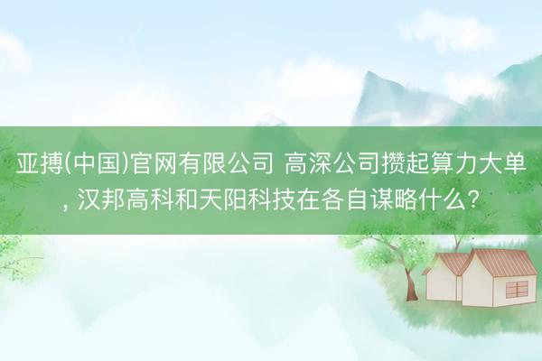 亚搏(中国)官网有限公司 高深公司攒起算力大单， 汉邦高科和天阳科技在各自谋略什么?