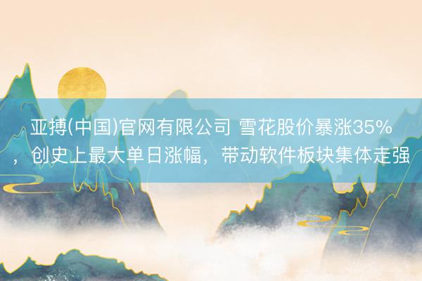 亚搏(中国)官网有限公司 雪花股价暴涨35%，创史上最大单日涨幅，带动软件板块集体走强