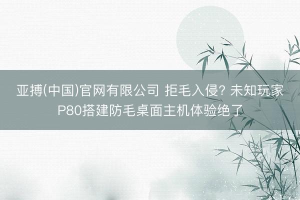 亚搏(中国)官网有限公司 拒毛入侵? 未知玩家P80搭建防毛桌面主机体验绝了
