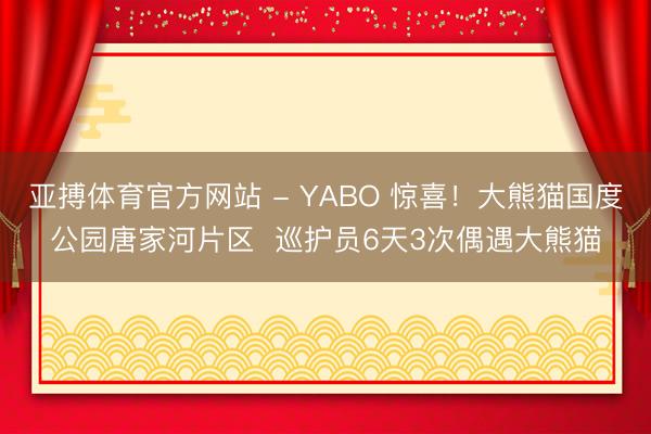 亚搏体育官方网站 - YABO 惊喜！大熊猫国度公园唐家河片区  巡护员6天3次偶遇大熊猫