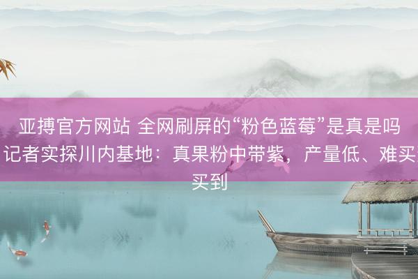 亚搏官方网站 全网刷屏的“粉色蓝莓”是真是吗？记者实探川内基地：真果粉中带紫，产量低、难买到