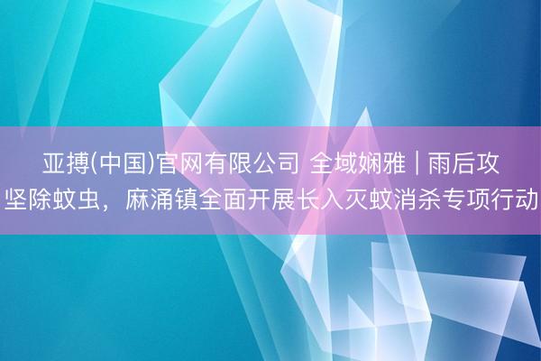 亚搏(中国)官网有限公司 全域娴雅 | 雨后攻坚除蚊虫，麻涌镇全面开展长入灭蚊消杀专项行动